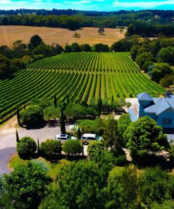 winery tours from melbourne cbd