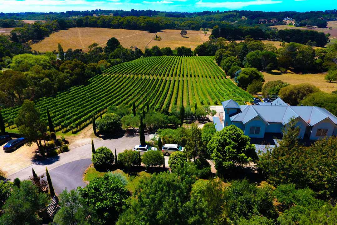 winery bus tours melbourne