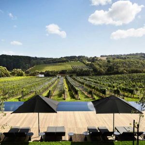 Yarra Valley Wine Tasting Bus Tours