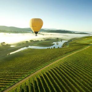 Eat See Walk Yarra Valley By Winery Bus Tour